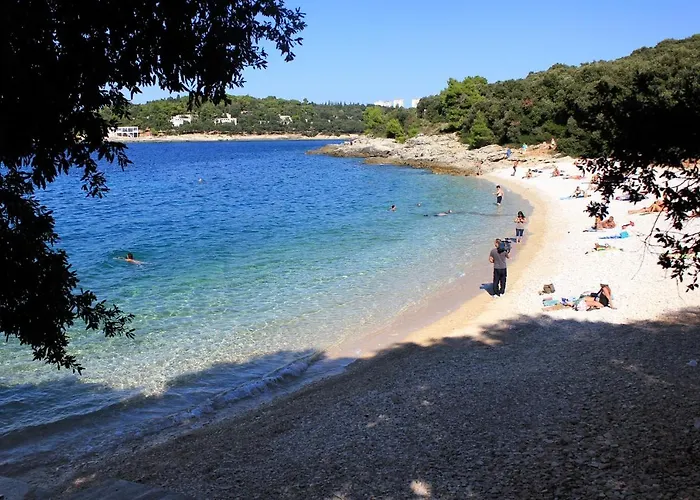 With Wifi - 19493 Apartman Póla